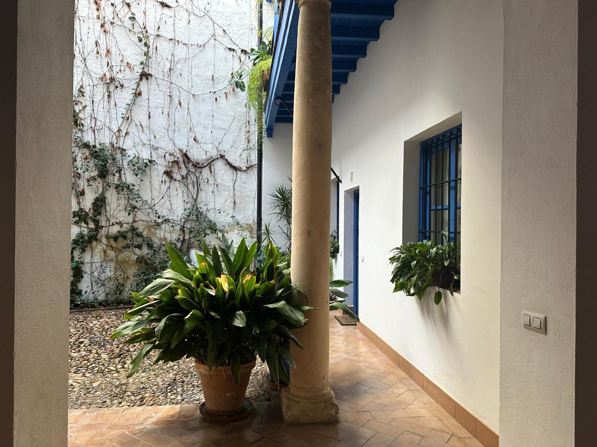 Ferienwohnung Vidrio 30-32 Sevilla Exterior foto